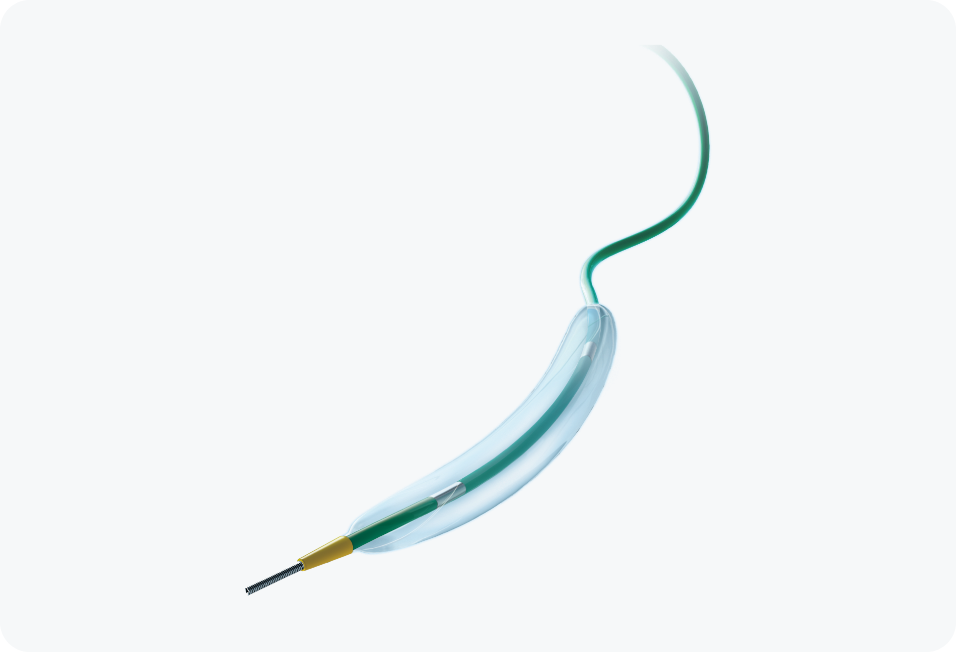 PTCA Balloon Catheter